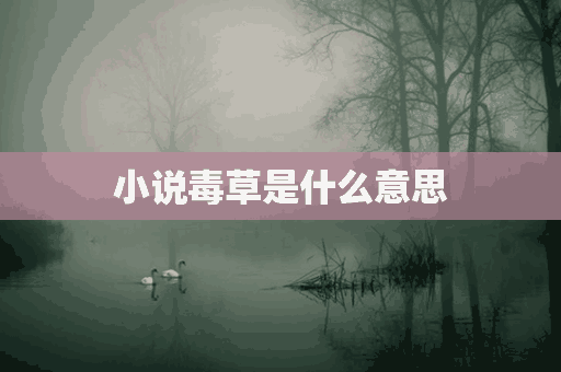 小说毒草是什么意思